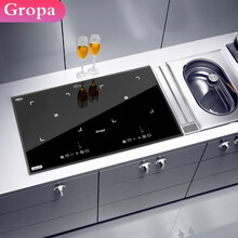 古牌(Gropa) 嵌入式电磁炉双灶 电陶炉家用双灶大功率进口面板不挑锅具 内镶嵌式双头电磁炉灶 电磁炉电陶组合炉
