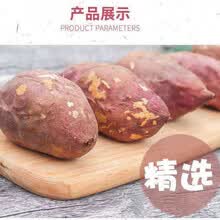 【粉糯香甜】四川现挖新鲜白心红薯沙地番薯地瓜白薯甜蜜薯板栗薯 【精选大果】带箱9.5-10斤