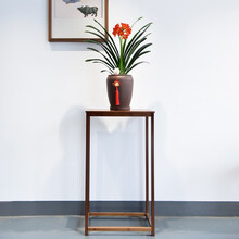 自然空间 ZRKONJN 君子兰盆栽老苗观赏绿植办公室客厅好养花卉桌面植物 鼎福君子兰+托+藤球+福结+雕刻花台