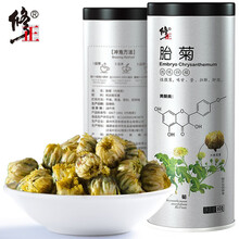 修正 胎菊菊花茶 杭白菊胎菊王茶叶花草茶散装凉茶可搭配枸杞金银花茶 一罐装