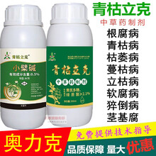 奥力克青枯立克溃腐灵靓果安大蒜油沃丰素果树蔬菜青枯根腐流胶腐烂枯黄萎蔓枯姜瘟茎基腐病农药杀菌剂 青枯立克500ml