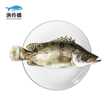 桂鱼 价格 图片 品牌 怎么样 京东商城