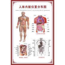 人体内脏位置分布图 商品搜索 京东