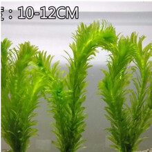 [京选推荐]【真水草】鱼缸【好养】活体植物造景迷你皇冠蜈蚣绿菊真水草 蜈蚣水草30支+固定瓷环