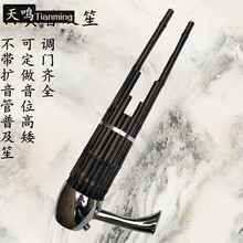 17簧扩音圆笙乐器成人儿童初学入门CEGD调民族乐器笙厂家直销 17簧乌木笙脚普及笙