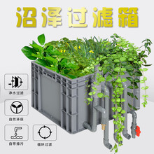 沼泽过滤箱鱼缸过滤器鱼池周装箱鱼植共生过滤系统古法养鱼水生植物过滤盒 小号沼泽款（空箱）