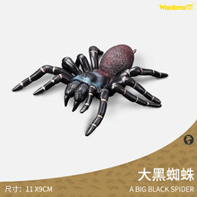 玩模乐正版昆虫动物玩具模型儿童仿真实心甲壳虫独角仙早教认知 大黑蜘蛛