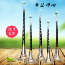 唢呐乐器优质乌木唢呐初学者成人唢呐全套民族乐器抖音同款 乌木小F调+九重礼品