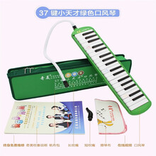 奇美37键口风琴32键初学者学生用儿童吹管安喆小天才小宝贝情树小公主小博士小小状元口风琴 【小天才37键绿色】帆布硬包+吹奏说明
