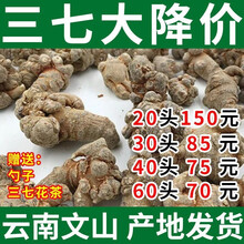 文山三七直播打粉500克直播打粉更放心 试用装30头100克（委托打粉）