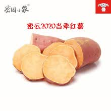 密园小农 红薯地瓜2020当季密云新鲜西瓜红蜜薯 白薯紫薯 烤薯 10斤