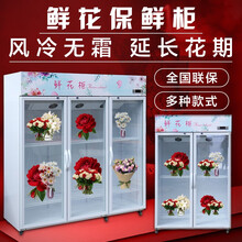 画彩鲜花保鲜柜鲜花柜冷藏柜绿色植物展示柜冰箱花店花束延长花期风冷保鲜柜单门双门三门商用立式陈列柜 双门升级款800L风冷鲜花柜