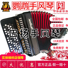 鹦鹉巴扬手风琴 8/12/60/96BS巴扬琴 初学考级专业演奏 60贝司 经典黑 YW-672+大礼包