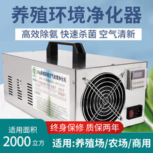 猪博士养殖环境处理器猪舍养殖场用空气净化器臭氧消毒机猪场氨气处理器 2000立方米（臭氧片）