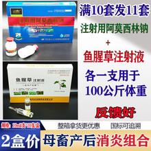 鱼腥草注射液兽用注射用阿莫西林钠猪牛羊产后消炎针剂组合母畜兽用药 2盒价 10套价【发11套】