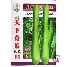 一播大地 特色砍瓜种子  奇异瓜砍了还能再生长春夏蔬菜种子 砍瓜 种子原包装