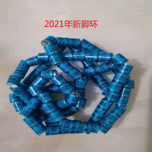 鸽子脚环/鸽子用品用具/信鸽/鸽具赛鸽鸽环/2021年全国统一环 内蒙05/辽宁06（拍下留言）