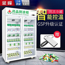 坚峰 药品阴凉柜 恒温柜展示柜医药柜新GSP认证药品柜单门双门三门药店冰箱 风冷展示柜冷藏柜立式冰箱 双门上置压缩机800L【升级款】