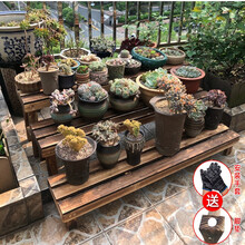 盆栽花架 价格 图片 品牌 怎么样 京东商城