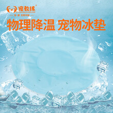 宠教练猫咪宠物冰垫狗垫猫垫店猫狗狗夏天睡垫夏季凉垫垫子凉席睡觉降温床垫 蓝色圆形冰垫30x30cm