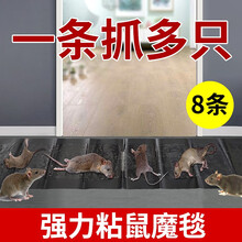 粘鼠板老鼠贴笼捕鼠神器灭鼠药强力超声波驱鼠器家用抓老鼠夹子 8条装