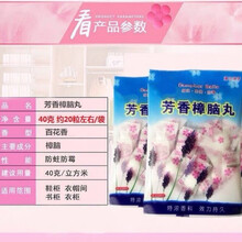 樟脑丸衣柜防霉防蛀防虫芳香去味透气独立包装驱虫防潮樟脑球 3包/60粒(体验装)