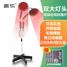 国仁神灯理疗仪 价格 图片 品牌 怎么样 京东商城
