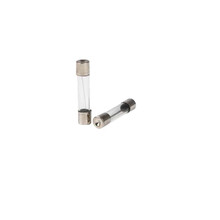 骆驼 玻璃保险管6X30mm 保险丝5A（100只装）（企业定制 下单请咨询客服）