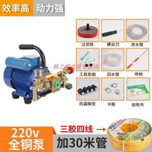 220V伏电动打药机喷雾器高压农药机大功率农用喷药器新式园林果树 1.1KW手提+30米管
