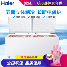 海尔（Haier）商用卧室冷柜 展示柜 卧式冷藏柜 超市食品柜 商用冷冻柜 BC/BD-826HSQ