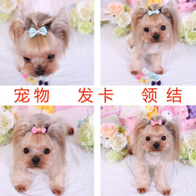 【32个装】泰迪宠物狗狗蝴蝶结领结发夹饰品头饰泰迪博美博美贵宾比熊小型犬狗发饰头夹装饰配饰宠物用品 8个装(金属扣发卡)