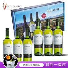 超市	
【五家米其林餐厅选用酒庄】冰川酒庄智利原瓶进口葡萄酒 寇庐山脉庄园珍藏苏维翁干白葡萄酒750ml*6支