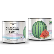 中科茂华懒汉甜王西瓜种子圆形京欣类较8424更抗裂超甜红瓤薄皮50克
