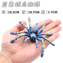 儿童仿真昆虫模型动物玩具蜜蜂独仙角蝴蝶草蜢螳螂七星瓢虫礼物 捕鸟蜘蛛