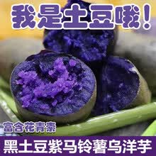 2021新货黑土豆 紫土豆 紫色土豆黑美人 甘肃定西土豆种子黑洋芋种子黑金刚马铃薯 土豆种子5斤 5斤