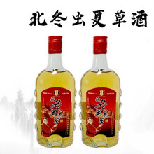 北冬虫夏酒蛹虫草酒健康酒养生酒药酒补酒500ml 2瓶