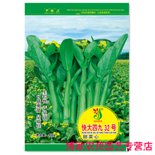 广东菜心种籽油菜籽种四季红菜苔种孑四九菜心种宁夏甜菜心种子50 建南四九白梗菜心拆散100克