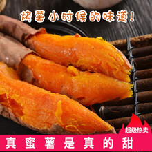 现挖沙地蜜薯红薯新鲜黄蜜薯5斤 现挖5斤 蜜薯