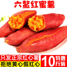 福建六鳌红蜜薯沙地新鲜红薯农家香甜板栗红心地瓜糖心小番薯10斤整箱 4500g