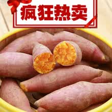 现挖新鲜糖心小红薯板栗薯沙地红蜜薯农家自种小山芋番薯地瓜5斤大中小可备注