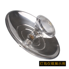 保温灯灯罩灯网防水防雨灯罩防爆灯网 不锈钢12寸灯罩