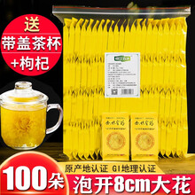 菊花茶 金丝皇菊 一朵一杯 江西修水大菊花独立包装金丝黄菊 花草茶 100朵独立包装+茶杯