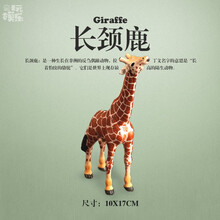 野生动物模型 长颈鹿熊猫袋鼠棕熊梅花鹿 儿童认知玩具3-10岁 公长颈鹿【高10cm】