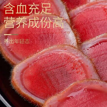 【现切现卖】梅花鹿鹿茸片鲜鹿茸片泡酒料泡酒中药材含血鹿茸片 鲜鹿茸片25克无