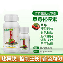 多莓好 草莓化控素疯长防徒长控旺调节花序防落果膨大果实 200g/瓶 草莓化控素
