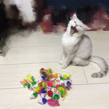 元井 猫咪羽毛小老鼠内含沙子沙沙声8只装铃铛小球10个 皮毛耗子 羽毛小老鼠4只+绒毛小老鼠4只