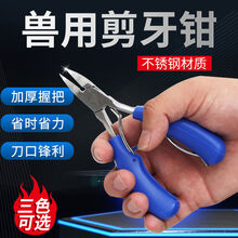 其六小猪不锈钢剪牙钳兽用断牙钳猪用剪齿钳仔猪剪牙钳兔子仓鼠剪牙器 加厚握把剪牙钳蓝色