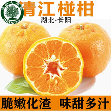 湖北长阳清江椪柑 岩松坪碰柑桔子新鲜水果柑橘湖北宜昌三峡土特产5斤