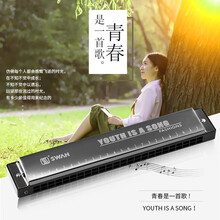 天鹅口琴初学者学生成人儿童24孔专业演奏级复音c大调教学入门自学乐器 【升级款】黑色+学习资料