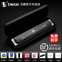 德国进口音簧天鹅口琴24孔高级成人儿童入门初学者学生C调复音专业演奏级口琴 黑色+全套赠品